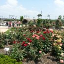 다봉식당 이미지