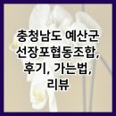 선장포협동조합 이미지