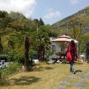 크라비앙코 이미지