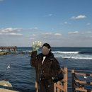 영일대해수욕장 갈매기화장실 | 포항 뚜벅이 2박 3일 혼자 여행 코스 -2일차(오브레멘, 구룡포 일본인 가옥거리, 호미곶 상생의 손 무료...
