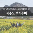 초아목장 | [제주 자유여행 후기] 제주도 택시투어 코스 및 택시대절 요금 이용 팁!