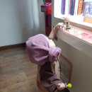 유심천스포츠관광호텔 이미지