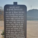 영주 무섬마을 | 무섬마을 (영주)/둘러보기(11.22)