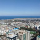 엠제이다올 네이버블로그