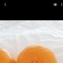 아라메르 수영장&스파펜션 이미지