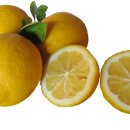 세현성형외과의원 이미지