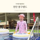 봉구 | 천안 물놀이장 추천 신상 야외수영장 봉구랜드 방문 후기