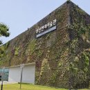 친환경 식물 미술관 이미지