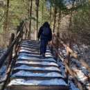 소백산삼가동유곡민박 | 소백산 삼가동 코스 비로봉 등반 후기