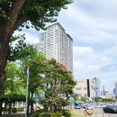 계산성당 교통섬 이미지