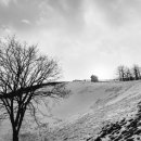 백배목장 이미지