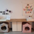 꾸며줄개 이미지