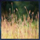 서울백양세탁소 이미지