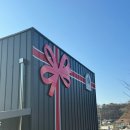 리츠펫 선물 이미지