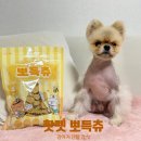 매일덴탈 | 강아지 양치껌 추천 🐶 핫펫 뽀득츄 허니버터향 매일 먹는 덴탈간식 후기