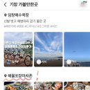 해물포 이미지