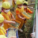 산새목장 이미지