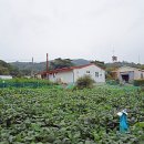 마산리 경로당 이미지