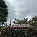 멍즈니랜드 | [홍콩] 홍콩 디즈니랜드 1일권 티켓 가격 | 디즈니랜드 어플지도 어드벤처대기시간 | 피날레 퍼레이드 시간