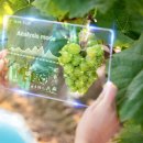 스마트행정사 이미지