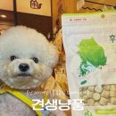 [창원] 유니시티 중동 견생냥품 |강아지 고양이간식 및 용품 1200가지 종류 할인 후기