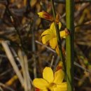 대전중앙중학교 이미지