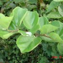 동트는어린이집 이미지