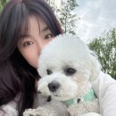 띵동 이미지