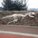 어린이교통랜드 체험관 이미지