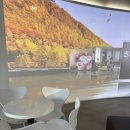 가보자 양주 | 네살 아이랑 서울우유 양주공장견학 체험과 선물