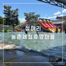 섶마리농촌체험휴양마을 | 대구 근교 아이랑 물놀이 [섶마리 농촌체험휴양마을] 평상대여 4만원 ! 가성비 끝판왕 내돈내산 후기