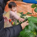 상남농장 이미지