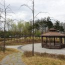 장성제근린공원 이미지