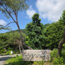 유명산밸리 캠핑장 | [경기 가평] 그늘이 좋은 유명산밸리캠핑장