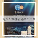 주르드스파 | 딸라스파전문점 용인기흥 주르드스파 관리후기