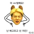 오늘치킨 Daum카페