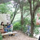 이마트24 태종사점 | 부산 태종대 수국축제 개화현황 알아보고가세요