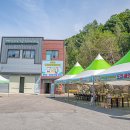 2023 평창 산양삼 축제 방문 후기