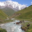 (주)연안항공여행사 이미지