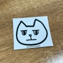 발한로 | 강원도 동해시 묵호 소품샵 냥덕후에게 천국인 고양이 소품샵 묘한 동해 후기