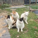 우애2농장 이미지