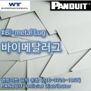더블유티 인터내셔널