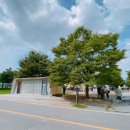 여의도공원 3번출입구 앞 이미지