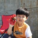 추암오토캠핑장 이미지