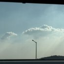 내 사랑들 보세요 이미지