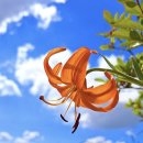 행복한선물 이미지