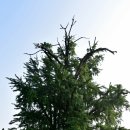 옥대3리 이미지