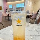 대전 둔산동 맛집 빠레뜨한남 후기 인기 많은 이유가 있다!