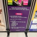 쿡캣 | 속초호텔 체스터톤스 속초 무료 수영장 시설 장단점 후기 (스탠다드 더블)