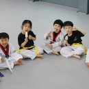 가온누리태권도장 이미지